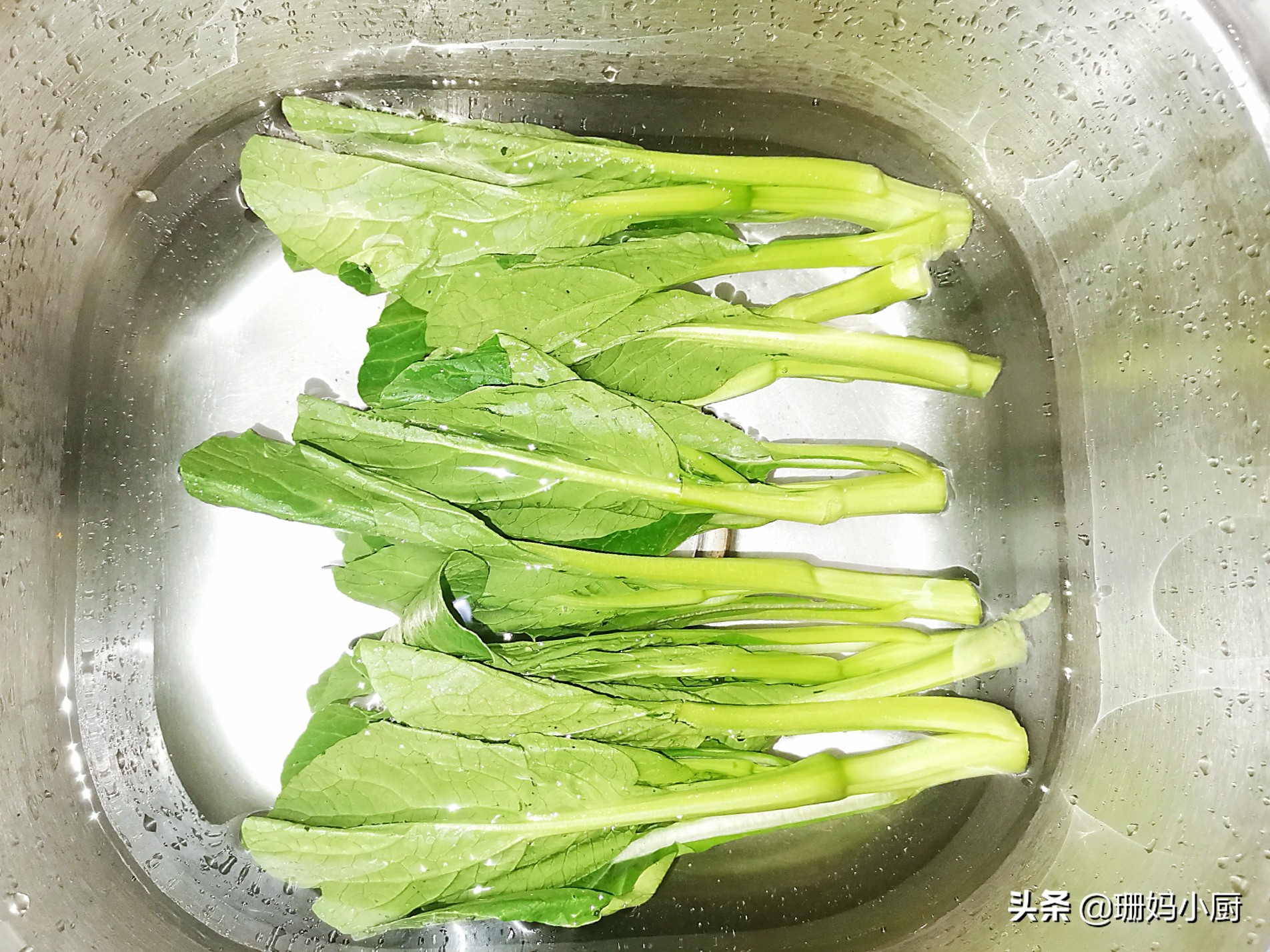 青菜焯水如何保持青绿,青菜焯水正确方法