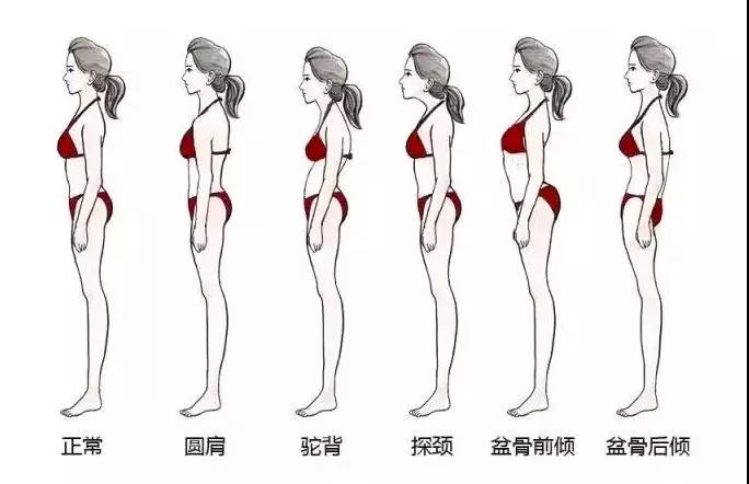 6冲和6害是什么意思,6冲有科学依据么