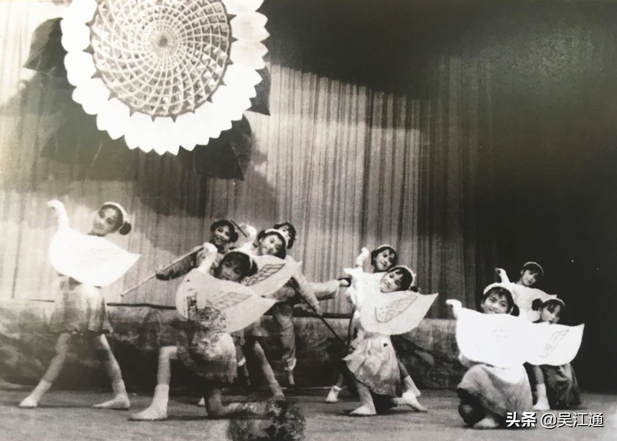 你可曾听说过向阳花小学？那可是当时的网红哦！