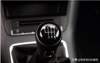 科目三详细教学零基础学习到精通,科目三初学入门详细教程