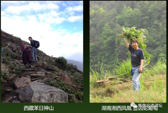 为什么长毛的火腿还能吃,长毛的火腿肠吃了会怎样