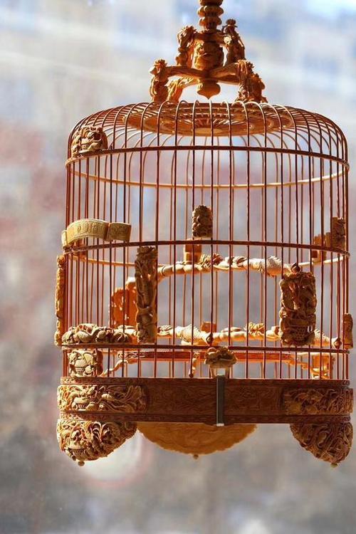 全国最精美的竹制鸟笼图片,竹制鸟笼怎么制