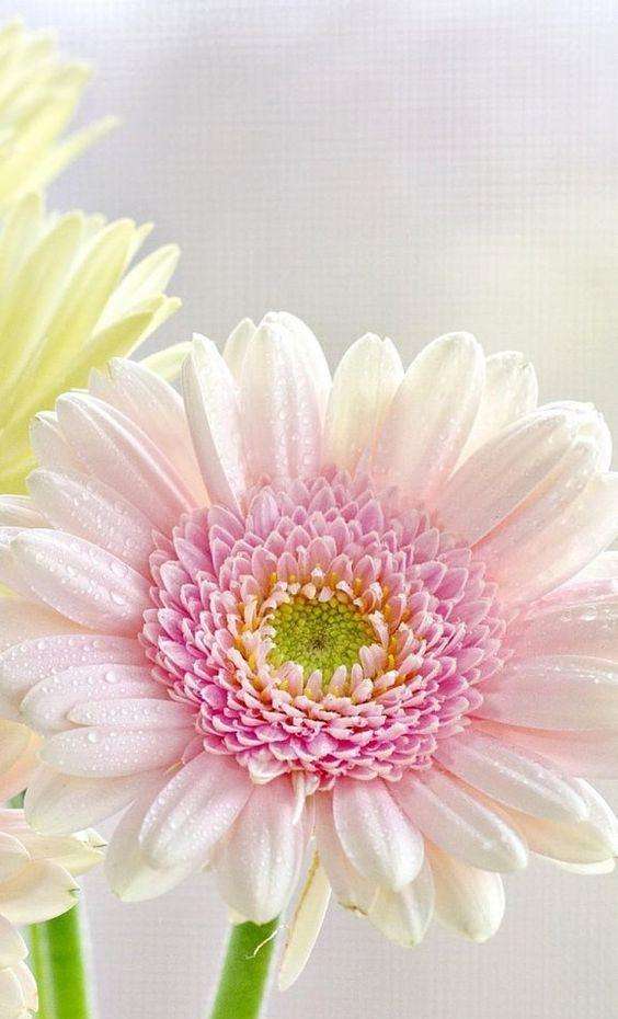 教育部宣布足球进入中考考核项目,足球真的被纳入考试项目吗