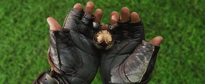 哈利波特与阿兹卡班魁地奇比赛,哈利波特与火焰杯魁地奇比赛