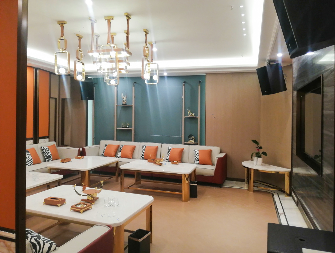 唐龙太极音响展,唐龙太极音响演出现场