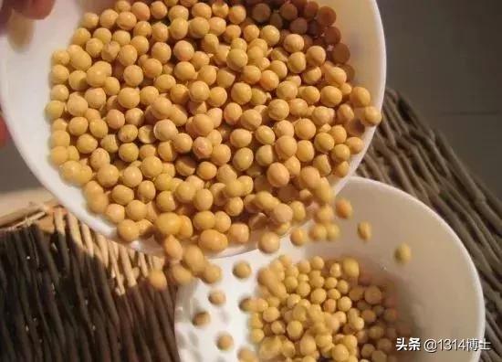 花卉摆放风水禁忌图解大全,房子旁边有喷水池风水禁忌