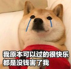 上海最值得去的十大免费景点,上海最新十大免费景点推荐