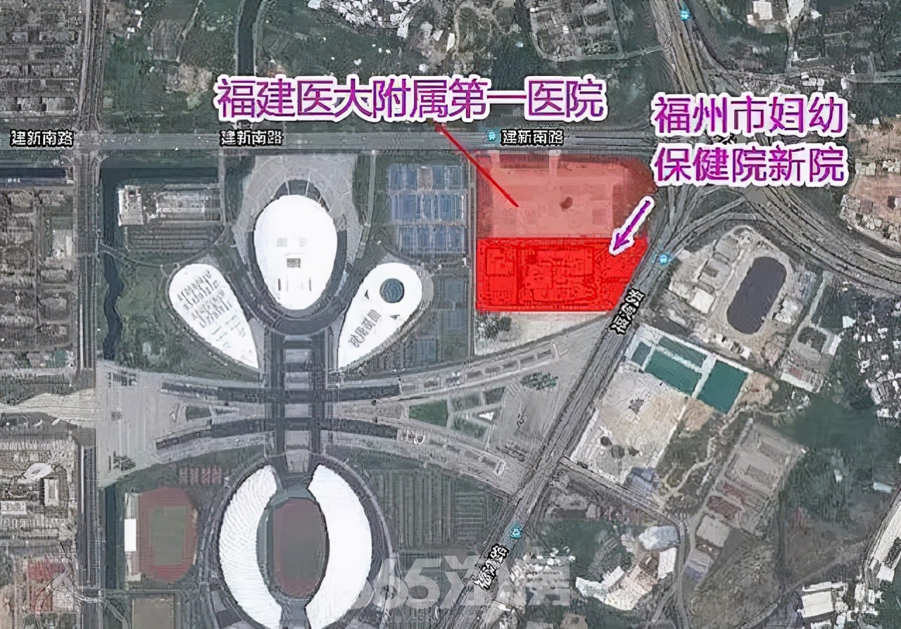 生老病死深度解析,生老病死全面解析