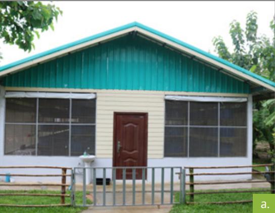 食用蟋蟀养殖赚钱吗农村,食用蟋蟀养殖