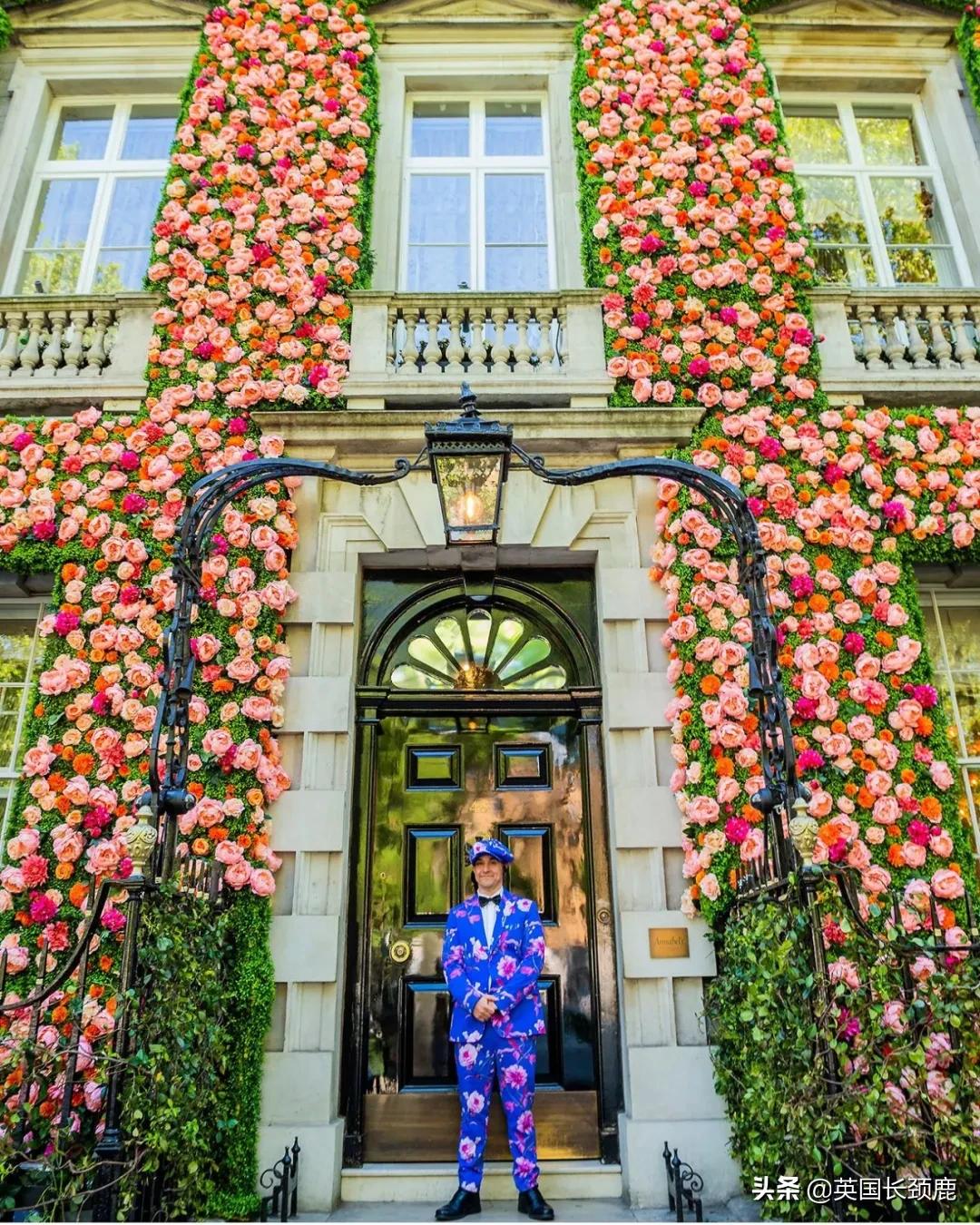 520/521：五月阳光下，伦敦依然盛放。记得常回来看看