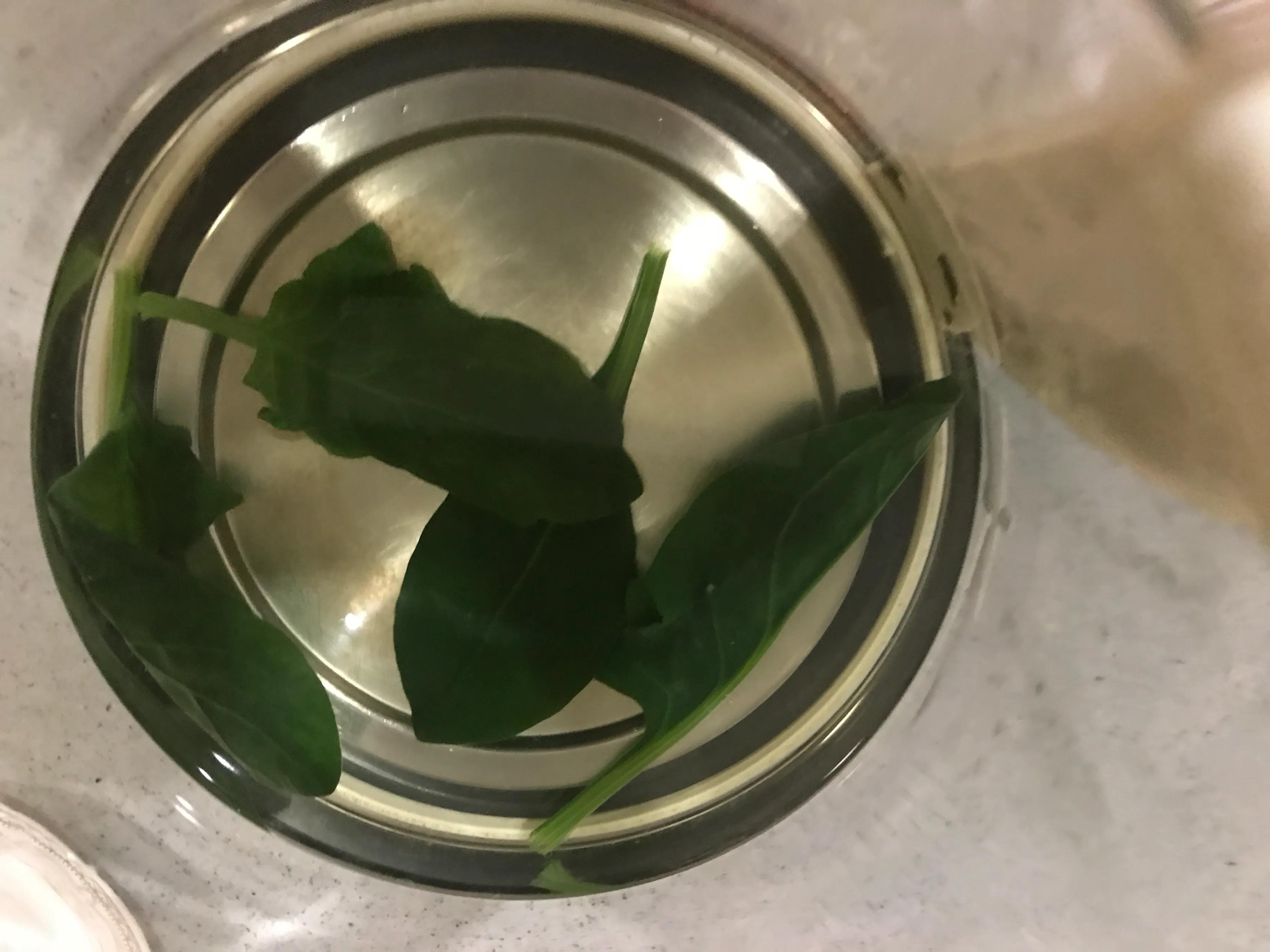 7个月宝宝吃的不多为什么会积食,7个月宝宝吃得很少怎么办