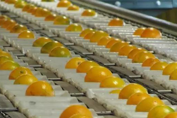 日本最成功的主题农场,日本农场十大排名