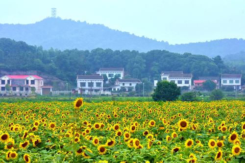 长沙周边比较小众的旅游景点,长沙人最喜欢去的十大景点排名