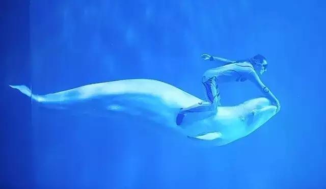 辽宁旅游景点推荐3天自由行,辽宁学生旅游景点推荐