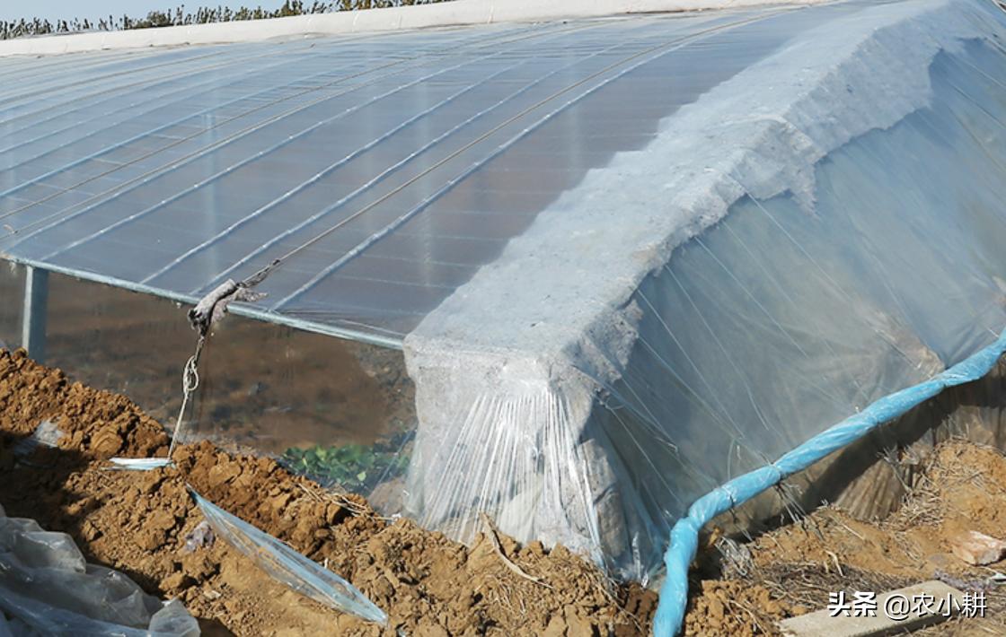 农膜污染整治视频,废旧地膜污染