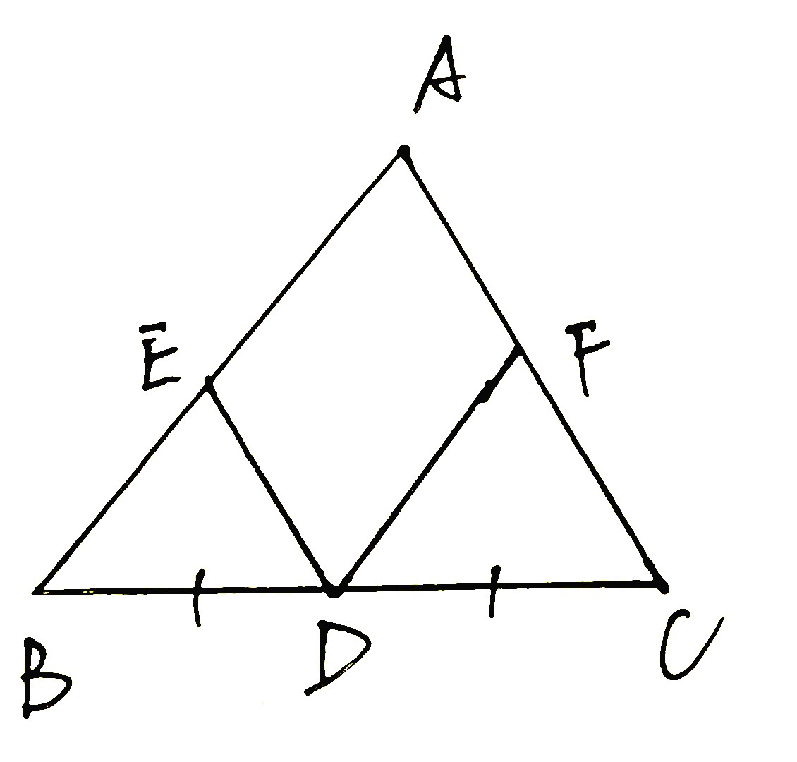 初二数学三角形知识点笔记,初中数学三角形全等知识点