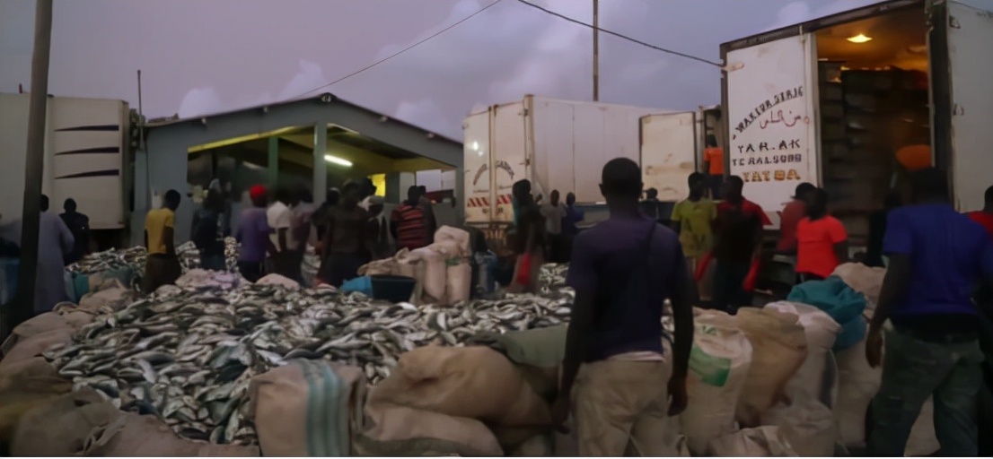 非洲人的捕鱼绝技，一天能捕7吨鱼，出海全凭肉眼找鱼