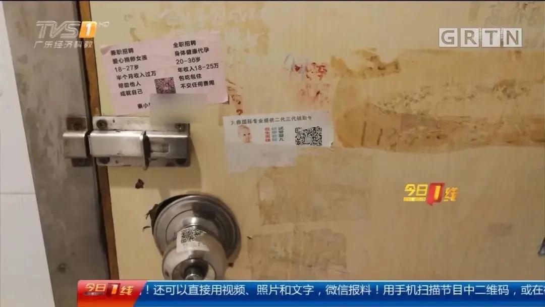 裸贷、卖卵、卖肾，真实的代价谁承受的起？