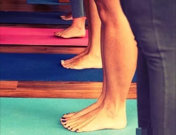 根基建立必练的16体式讲解,根基不稳