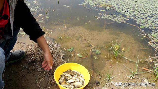 送给钓鱼人的建议：分享六个小妙招解决烦人的小杂鱼