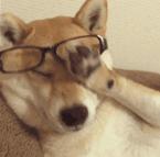 在百度工作年纪大了会失业吗,在百度工作经常出差好吗