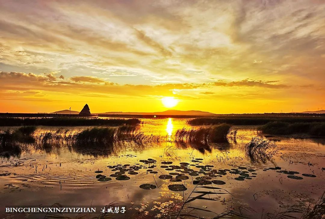 再返富锦，为着那份飘着稻花香的“湿”意约定