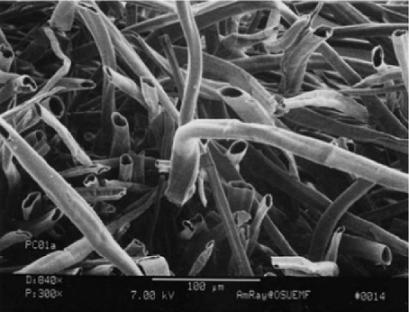 让你过敏,让人过敏的方法