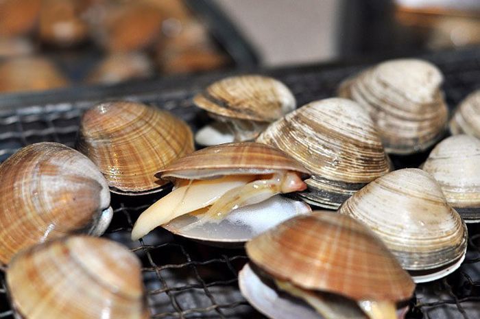 东港海鲜好吃呢,丹东东港海鲜哪家好吃