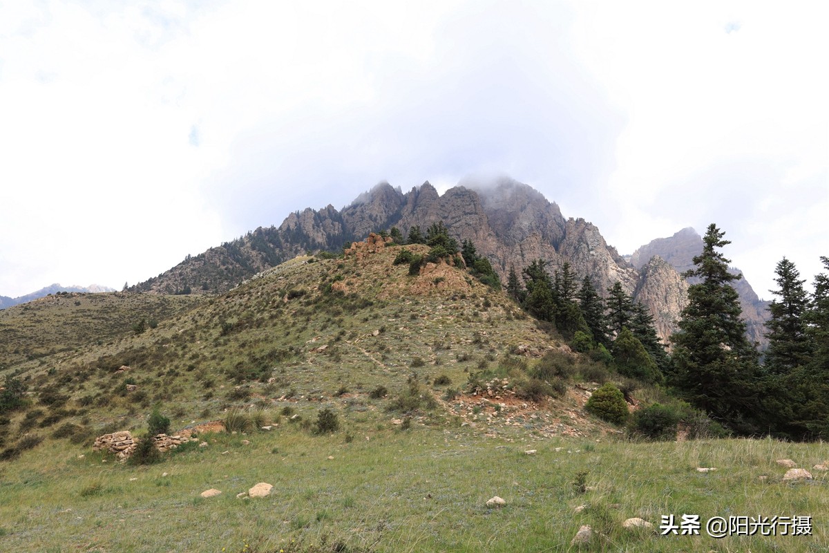静谧森林和沙漠交界处,静谧森林红色石头
