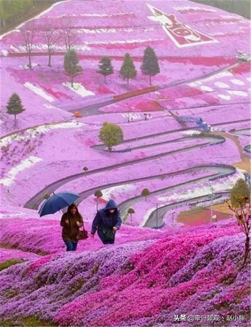 踏春寻美景,踏春赏花梯田漫步