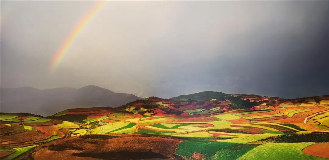 来看看那些云南元素满满的影视剧,这些让人难以忘怀的镜头