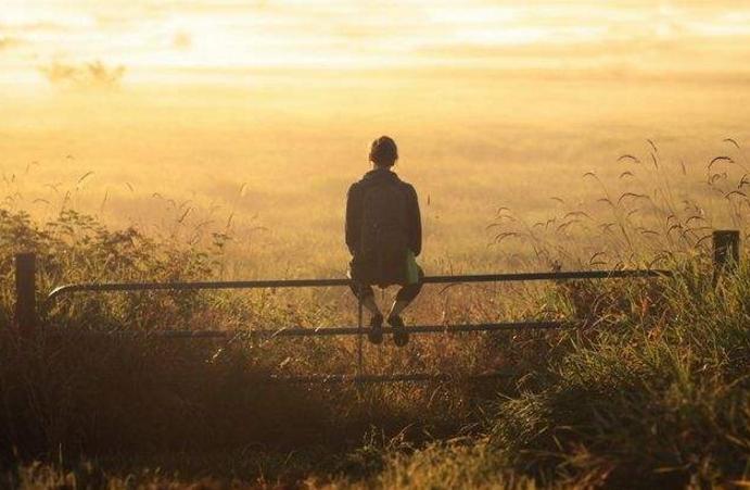 如何面对欲望和生活中的诱惑,如何与自己的欲望和解