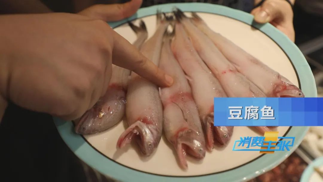 霞浦小众海鲜,霞浦吃海鲜地方推荐