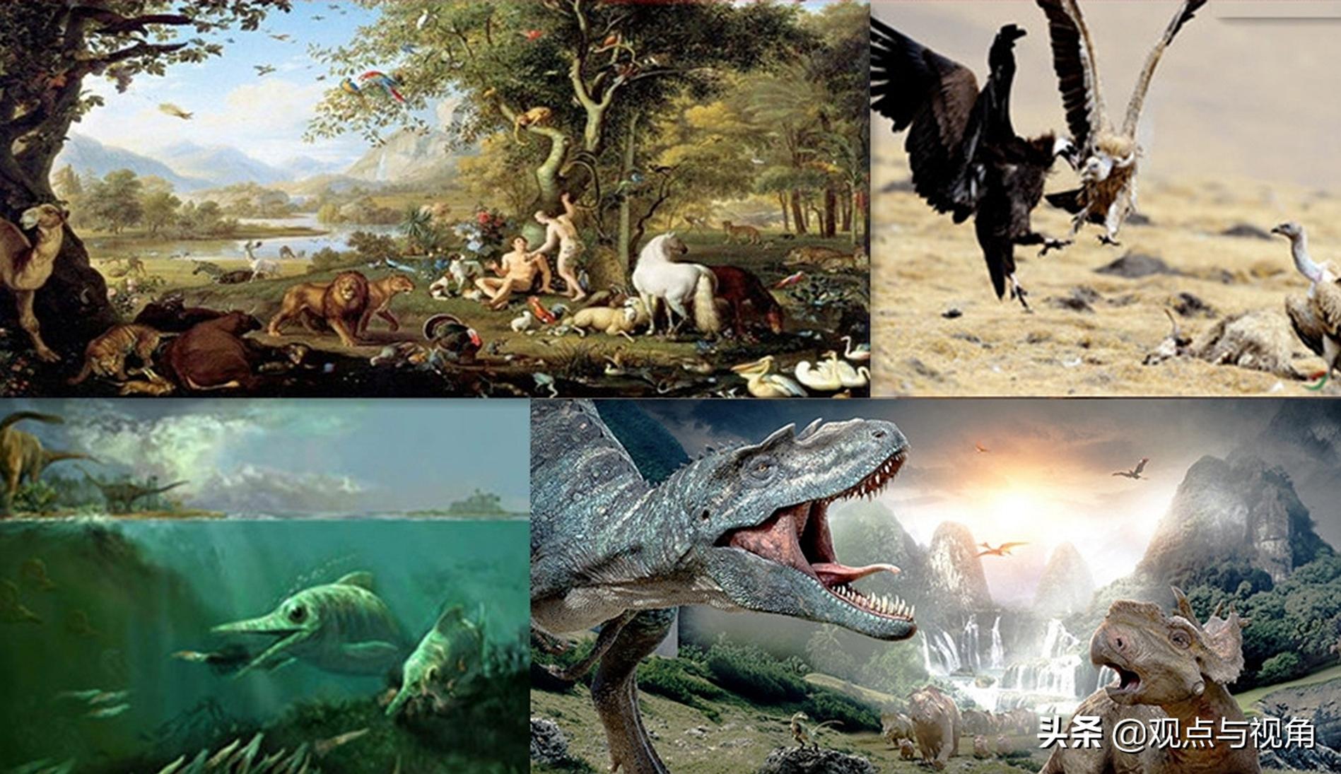 达尔文生物进化论来源,英国生物学家达尔文的进化论