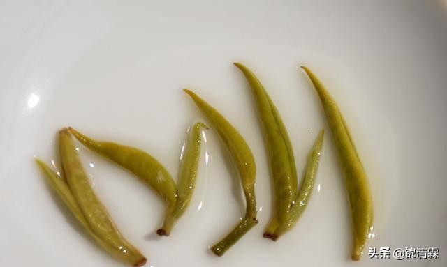 绿茶冲泡基础知识和技巧,绿茶冲泡大师