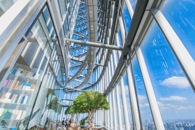 只去书店但不看书的意义,只有不读书干什么都是快乐的