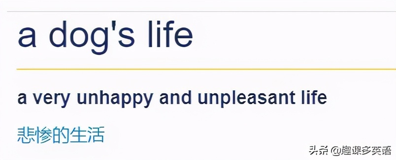 鑰佸璇磞ouare,澶栧浗浜鸿youareanimals