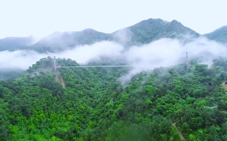 佛山市景区全免费开放,佛山南海多个场馆恢复开放