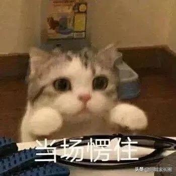 四史选修课哪一门比较有意思,每个大学的选修课都是一样的吗