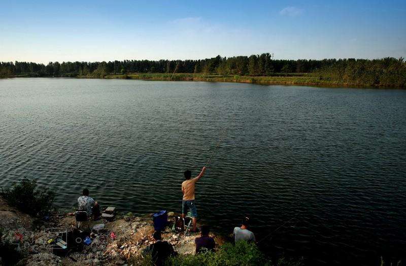 *战野**劲鲤，请你牢牢记住这三点，老钓手都默默收藏了