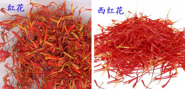 西红花与红花鉴别表格,红花和西红花图片对比