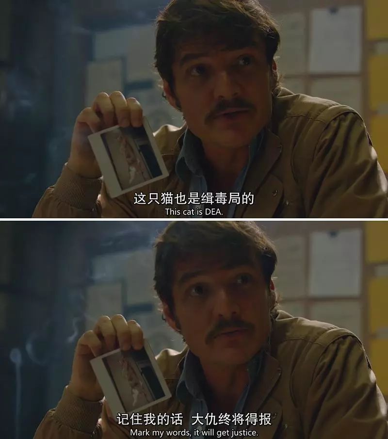 制片人杀人埋尸被抓,豆瓣评分9.4真实案件