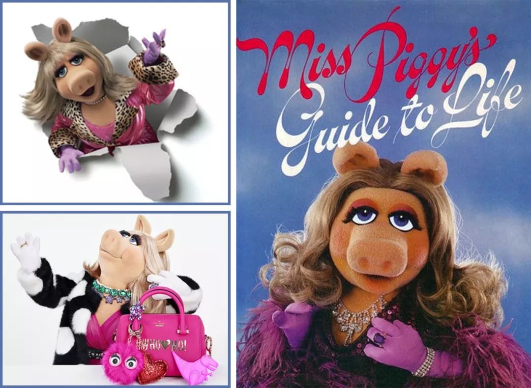 猪都拍时尚大片了，你还在穿妈妈给你买的红秋裤？