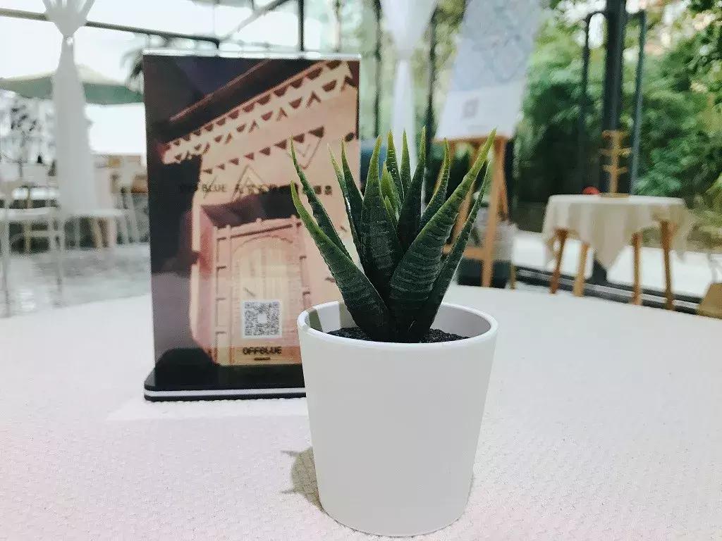 重庆目前最火爆的奶茶店,重庆最火爆的奶茶店