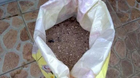 盆栽土的表面发霉要不要紧,盆栽新土怎么处理