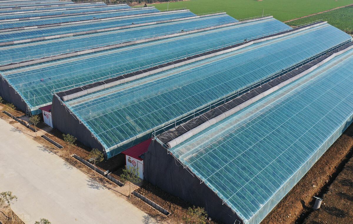 种植为什么使用温室大棚?温室大棚种植有哪些优点
