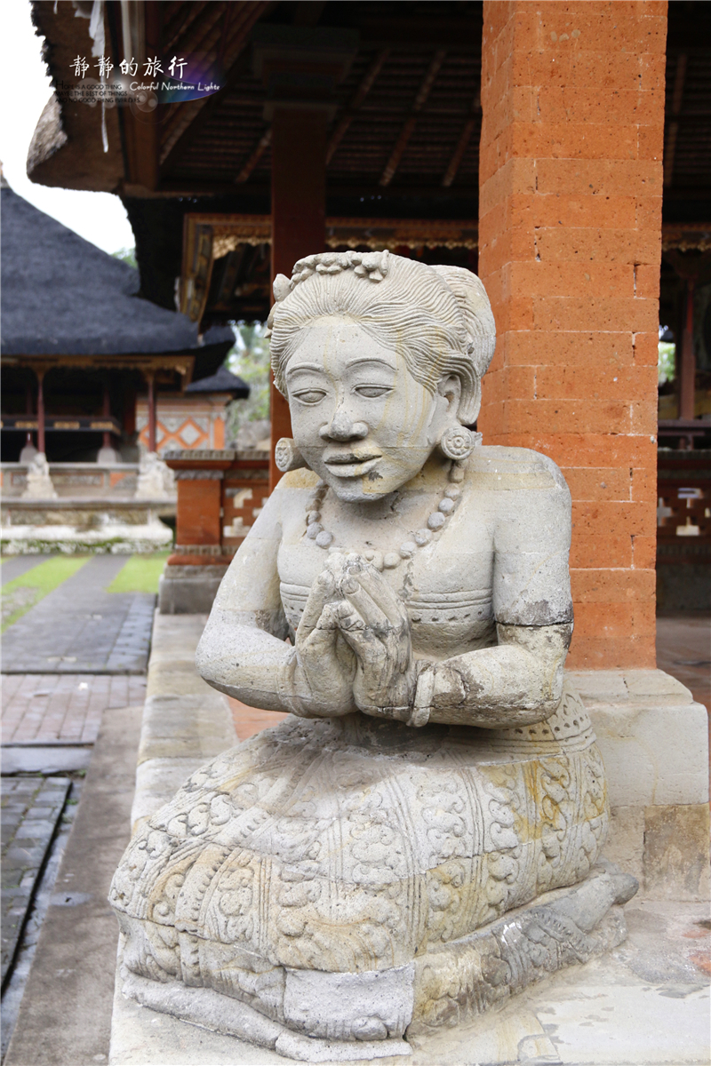 在印尼见识传说中最昂贵的猫屎咖啡