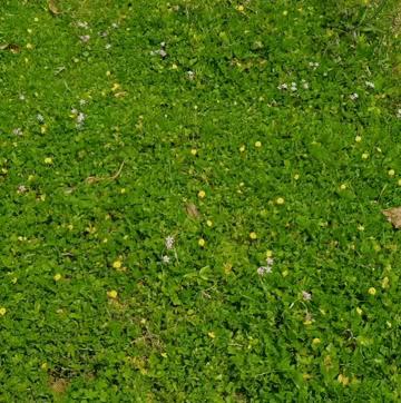 福州露营休闲放松好去处,福州温泉景区