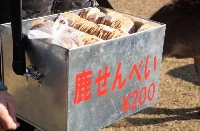 少了中国游客的地球，整个生态圈都乱了！