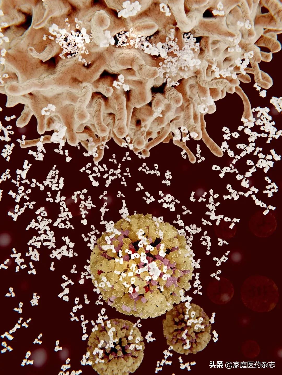 鍋囧鐥呮瘨鎰熸煋浜嗘垜,鍋囧鐥呮瘨鎰熸煋浜嗕綘